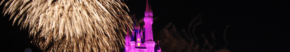 disney magic kingdom fireworks. Surviving Disney