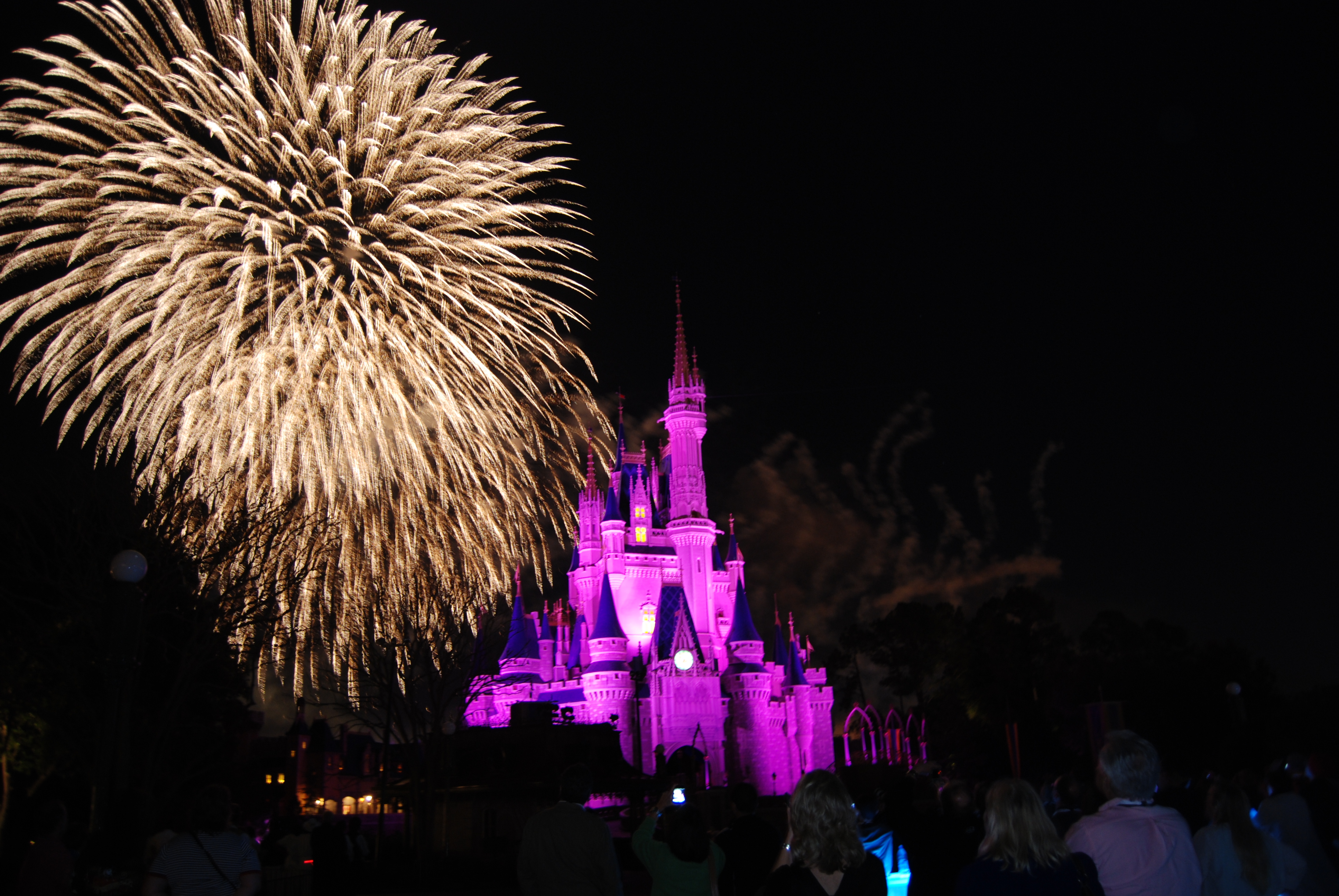 Top-5 Places to watch fireworks around Magic Kingdom | Surviving Disney